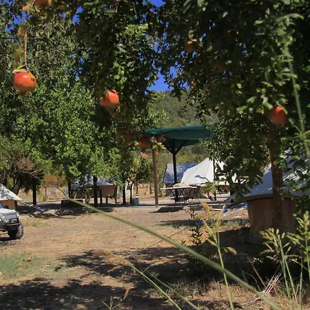 Fark Edenler Kamp Alani *