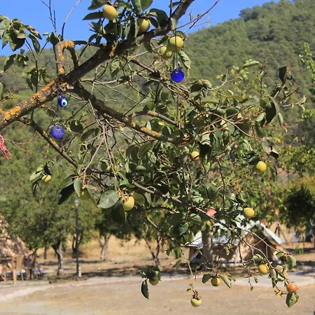 Fark Edenler Kamp Alani Campsite Dalaman